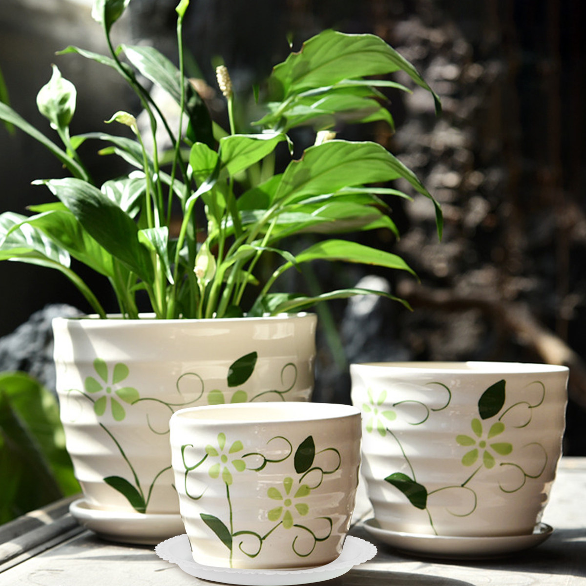 ถาดรองกระถางดอกไม้ทรงกลม 20 ชิ - Drip Tray Saucer บทวิจารณ์และราคา