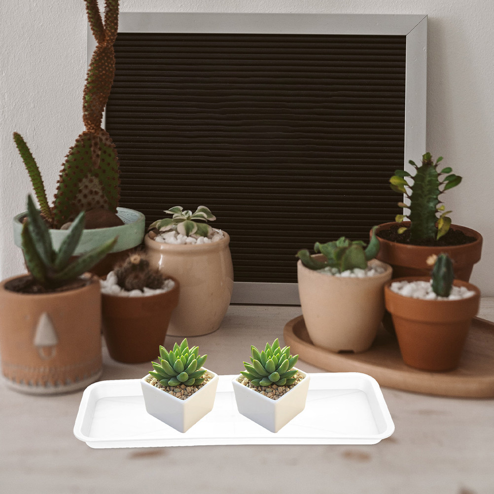 5 ชิ้น ถาดรองกระถางต้นไม้ทรงสี - Drip Tray Saucer บทวิจารณ์และราคา