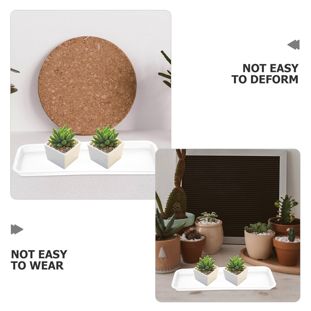 5 ชิ้น ถาดรองกระถางต้นไม้ทรงสี - Drip Tray Saucer บทวิจารณ์และราคา