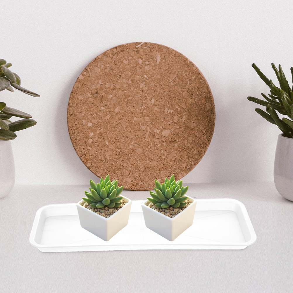 5 ชิ้น ถาดรองกระถางต้นไม้ทรงสี - Drip Tray Saucer บทวิจารณ์และราคา